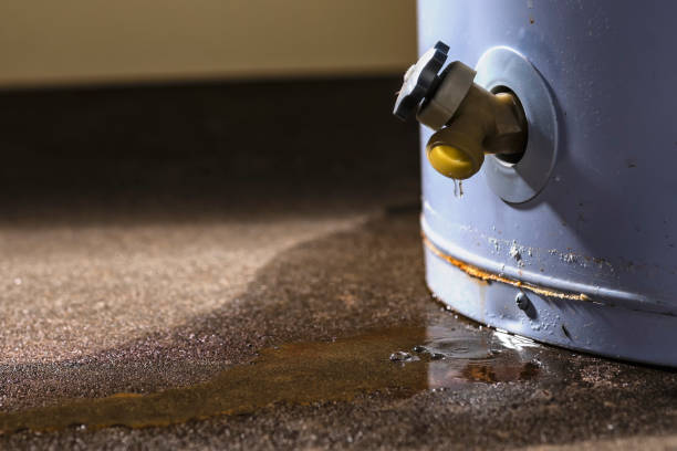 Best Fire Damage Restoration  in Clinton, IA