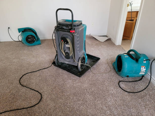Best Local water damage restoration  in Clinton, IA