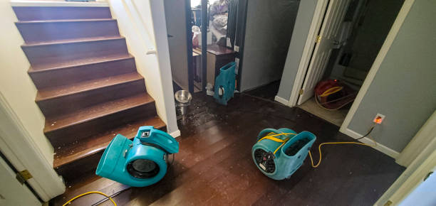 Best Water damage restoration cost  in Clinton, IA