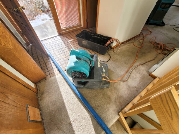 Best Flood restoration services  in Clinton, IA