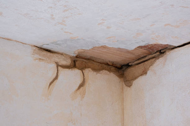 Best Sewage cleanup and water damage restoration  in Clinton, IA