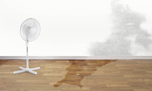 Best 24/7 water damage repair  in Clinton, IA