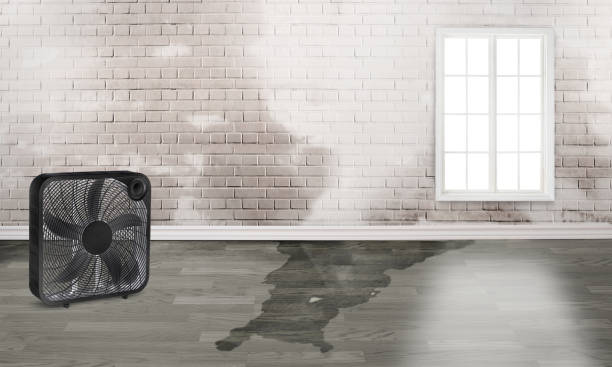 Best Water damage restoration near me  in Clinton, IA