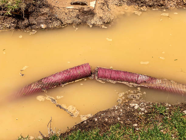 Best Sewage cleanup and water damage restoration  in Clinton, IA