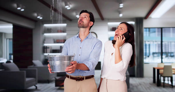 Best Water damage contractors near me  in Clinton, IA