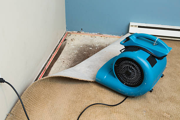 Best Water damage contractors near me  in Clinton, IA